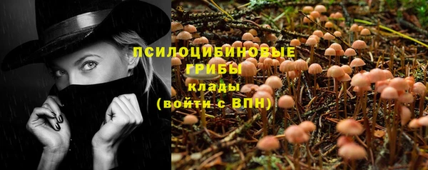 каннабис Алексеевка