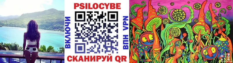 купить наркоту Гусь-Хрустальный Галлюциногенные грибы GOLDEN TEACHER